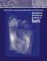 Development Function and Evolution of Teeth