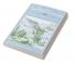 Views of American Landscapes