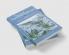 Views of American Landscapes