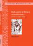 Civil Society in Yemen