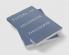 Papers in Hellenistic Philosophy