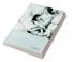 Consumerism and American Girls' Literature 1860 1940