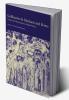 Guillaume de Machaut and Reims