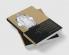 Biblical Exegesis and the Formation of Christian Culture
