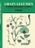 Grain Legumes