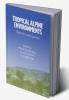 Tropical Alpine Environments