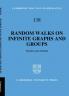Random Walks on Infinite Graphs and Groups