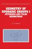 Geometry of Sporadic Groups