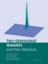Two-Dimensional Wavelets and Their Relatives