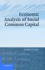 Economic Analysis of Social Common Capital