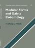 Modular Forms and Galois Cohomology