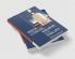 Russian Literature Modernism and the Visual Arts