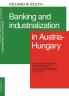 Banking and Industrialization in Austria-Hungary