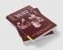 Family Forms in Historic Europe