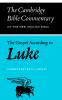 The Gospel According to Luke