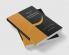 Social and Demographic Accounting