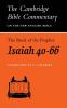 The Book of the Prophet Isaiah Chapters 40-66