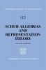 Schur Algebras and Representation Theory