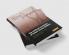 The Political Economy of Power Sector Reform