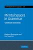 Mental Spaces in Grammar