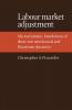 Labour Market Adjustment