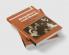 Bulgakov's Last Decade