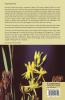 The Archives of Peat Bogs