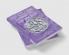 Old Icelandic Literature and Society