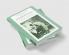 Pictorialist Poetics