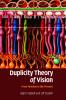 Duplicity Theory of Vision