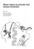 Major Topics in Primate and Human Evolution