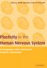 Plasticity in the Human Nervous System