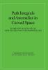 Path Integrals and Anomalies in Curved Space