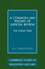 A Common Law Theory of Judicial Review