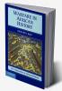 Warfare in African History