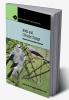 Birds and Climate Change