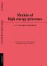 Models of High Energy Processes