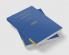 The Cambridge Book of Lesser Poets