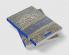 A Social History of Ottoman Istanbul