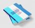 Social Capital in Developing Democracies