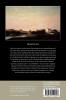 Formalism Experience and the Making of American Literature in the Nineteenth Century
