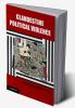 Clandestine Political Violence