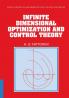Infinite Dimensional Optimization and Control Theory