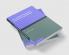 The Medical Writings of Anonymus Londinensis