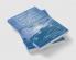 Financial Crises in Emerging Markets