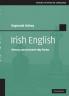 Irish English