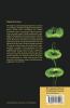 Turbulence Structure and Vortex Dynamics