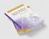 Discrete Models of Financial Markets
