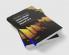 Global Climate Governance Beyond 2012