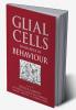 Glial Cells